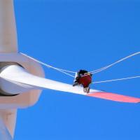 Профилна снимка - Любомир Коцев