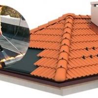 Профилна снимка - Емо Тодоров