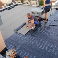 Профилна снимка - Димитър Томов