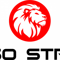 Профилна снимка - Бесо Строй