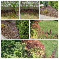 Профилна снимка - Иван Трайков