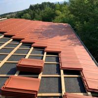 Профилна снимка - Георги Илиев