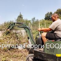 Профилна снимка - Георги Ангелов