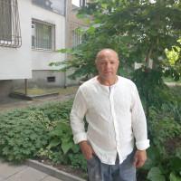 Профилна