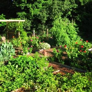 Зеленчукови лехи за автентична атмосфера