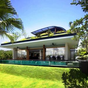 Минуси на зеления покрив