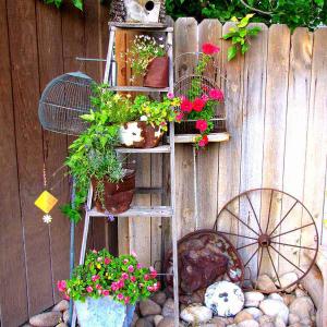 Няма нищо по-хубаво от градина с цветя