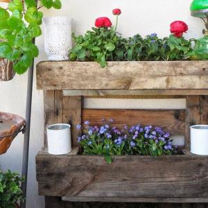 Аранжирайте вашата цветна градина