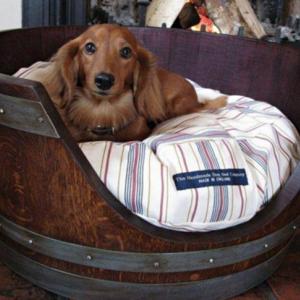 Зарадвайте домашния си любимец с ново легло