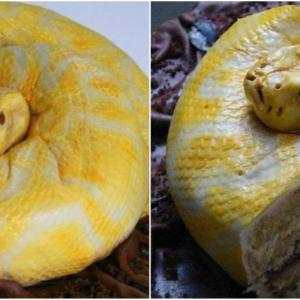 Пълзящо приключение