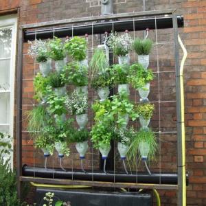 Елегантни саксии