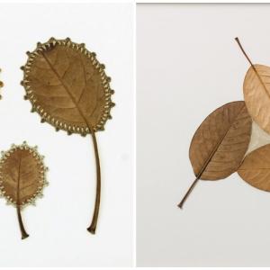 Успехът й е плод на упорит труд