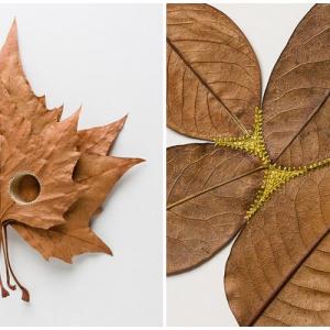 Хванете в ръце една великолепна илюзия