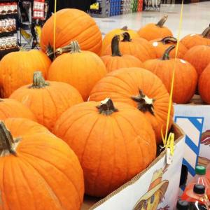 1. Да намерим идеалната тиква!