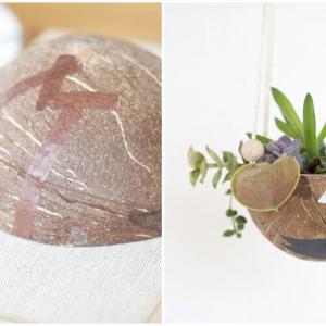 Нов дом за дребните растения, създаден от кокосов орех