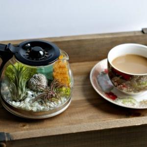 Поднесете с финес