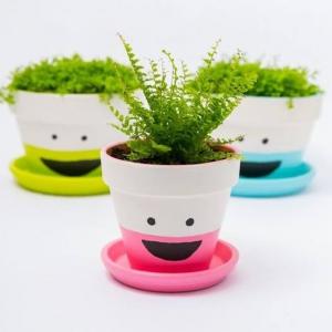 Извикайте усмивки върху саксиите си