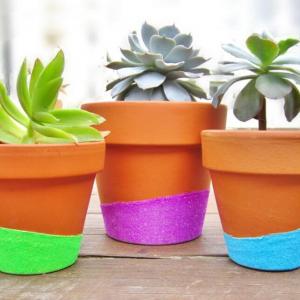 Саксии, наметнати с блясък