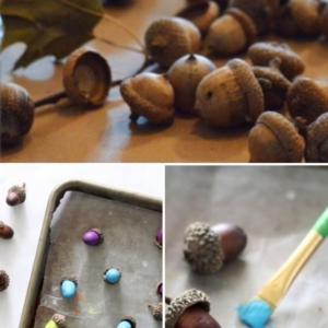 Получаване на едноцветни жълъди