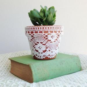 Саксии, докоснати от дантела