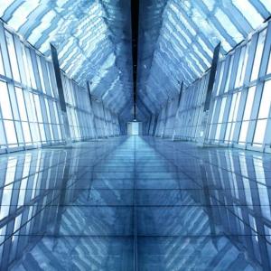 Раят на естествената светлина