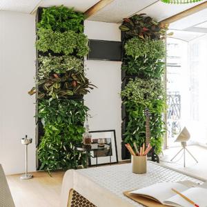 Вертикална градина в спалнята