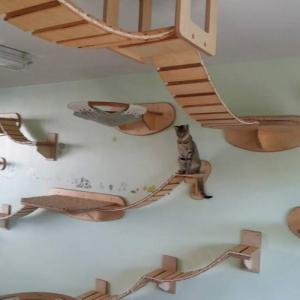 Царството на домашния ви любимец