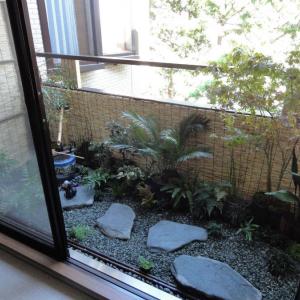 Превърнете терасата в градина