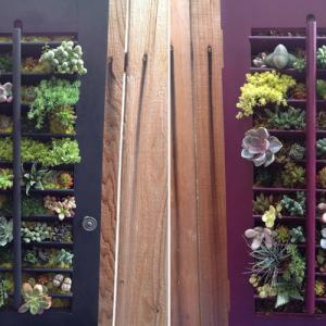 Вертикална градина от стари кепенци