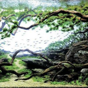 Материали, които изглеждат като живи