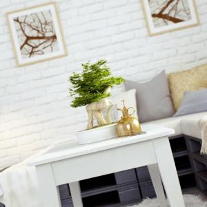 Предварителна обработка