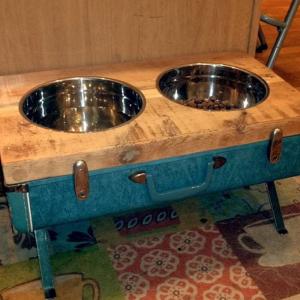 Грижа за домашния любимец