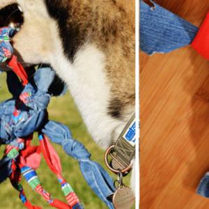 Играчка за кучето