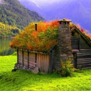 Зеленият покрив си струва