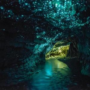 Пещерите със светещи червеи, Нова Зеландия