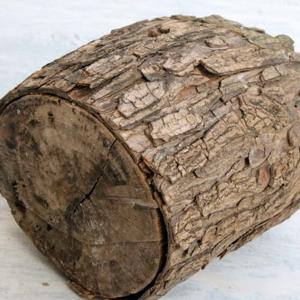 Намерете перфектното парче дърво за своята настолна лампа