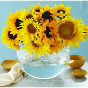 Семпло, но слънчево