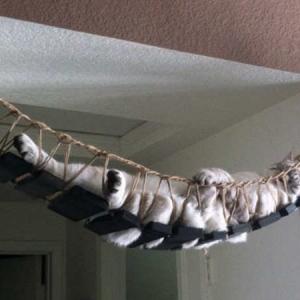 Хамак на балкона