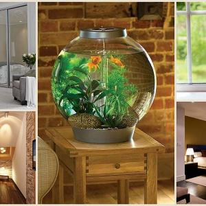 Какво друго не бива да правите?