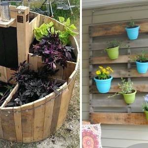 Акцент към обикновените саксии