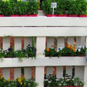 Етажерки в оранжерията