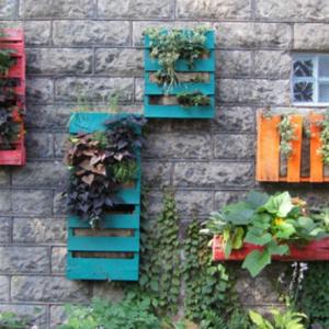 Стенна мозайка от саксии