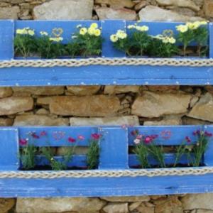 Симпатични саксии като декорация за стена