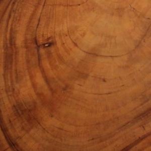 Масивно дърво