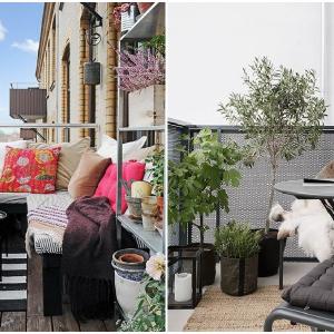 За любителя на цветя