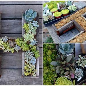 Внесете индивидуалност в градината с декорация под формата на буква