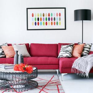 Запазете розовото и червеното за подвижните елементи у дома