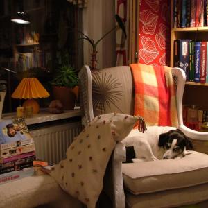 Обърнете внимание на комфорта при сядане