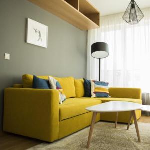 Водеща за проекта е цветовата палитра