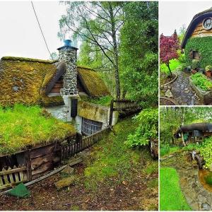 Екстериорът е природосъобразен